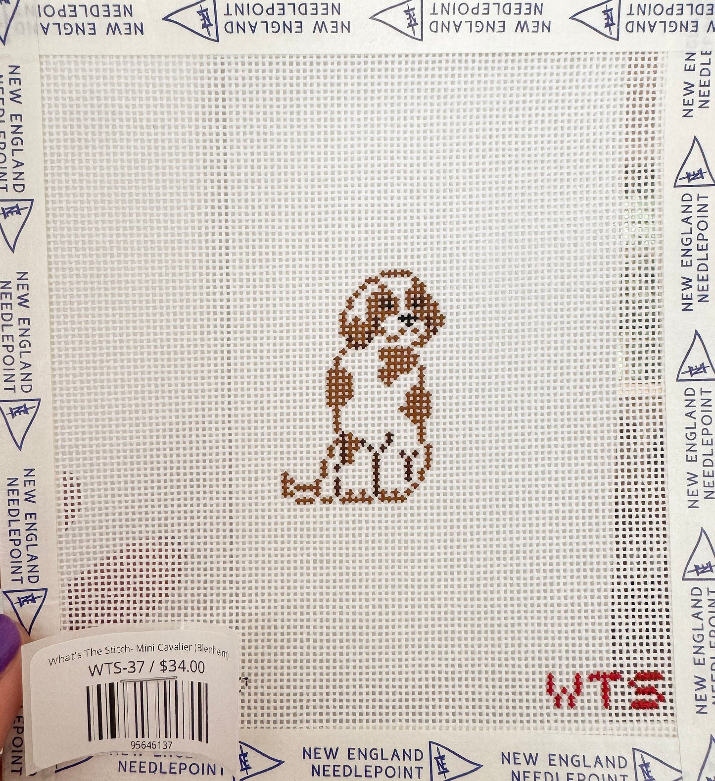 What's The Stitch- Mini Cavalier (Blenheim)