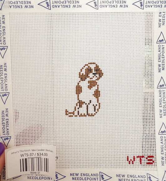 What's The Stitch- Mini Cavalier (Blenheim)